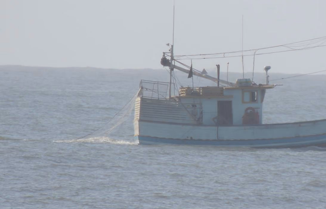 Pesca de arrasto menos de 3 milhas da costa. Foto: Wendell Estol.