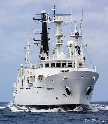 O Sam Simon é o mais novo navio a se juntar à frota da Sea Shepherd. Foto: Carolina A. Castro/ Sea Shepherd