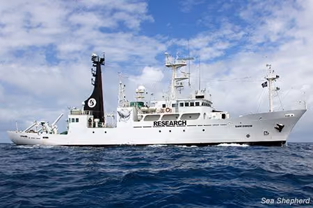 SSS Sam Simon. Foto: Carolina A. Castro/ Sea Shepherd