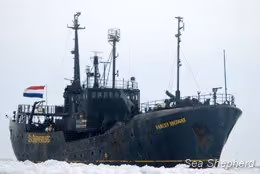 O Farley Mowat nas banquisas de gelo canadenses