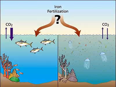 Fertilização do oceano com ferro. Foto: Woods Hole Oceanographic Institution