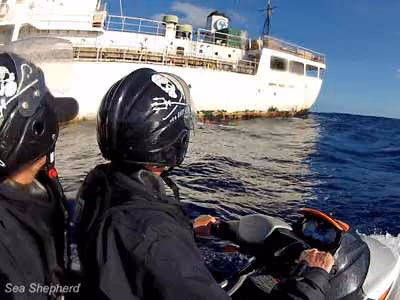 Sea Shepherd se aproxima de um palangreiro para inspeção. Foto: Julie Anderson / Sea Shepherd