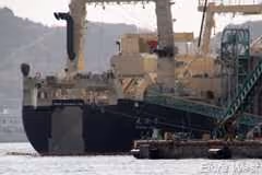Nisshin Maru no porto, em 29 de novembro