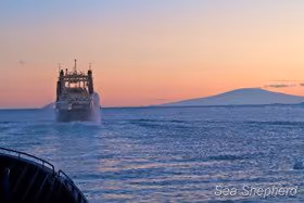O Nisshin Maru avança com o Monte Siple ao fundo (Foto: Gary Stokes)