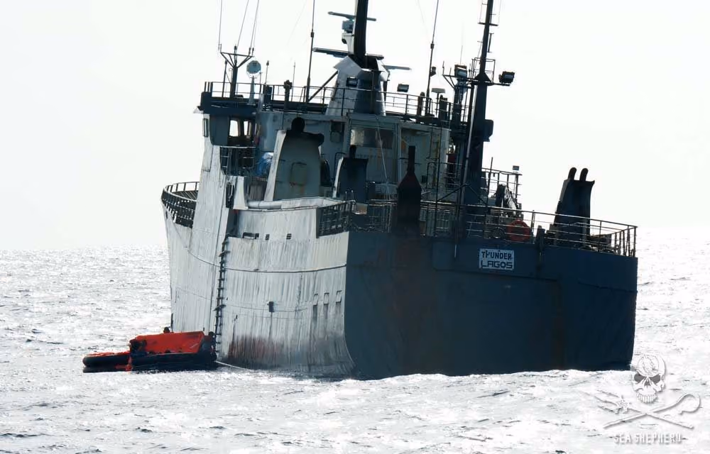 O navio Thunder emitiu um pedido de socorro pois está afundando. Foto: Sea Shepherd / Erwin Vemeulen
