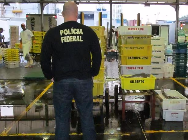 Foto: Delemaph / Departamento de Policia Federal (DPF)