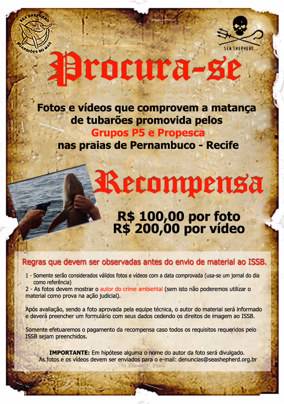 ISSB irá recompensar provas contra crimes ambientais em PE