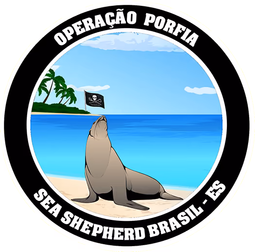 seal 6