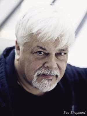 Capitão Paul Watson. Foto: Björn Lexius Photography