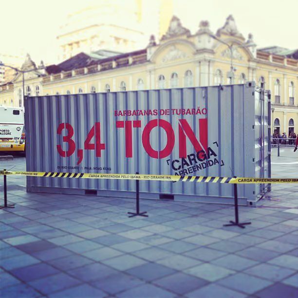 Container simulando apreensão de 3,4 toneladas de barbatana de tubarão. Foto: DCS