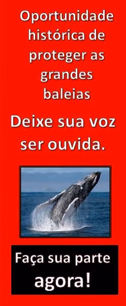baleias