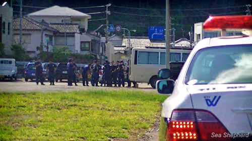 Polícia de Taiji. Foto: Sea Shepherd