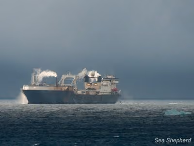 O navio-fábrica de pesca e processamento de krill da BioMarine. Foto: Erwin Vermeulen / Sea Shepherd