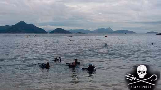 Foto: Luiz Albuquerque - Sea Shepherd Brasil