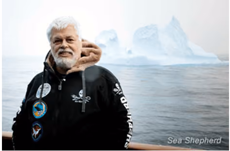 Capitão Paul Watson. Foto: Sea Shepherd Austrália/Tim Watters