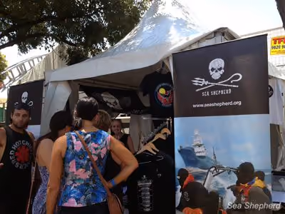 Sea Shepherd foi convidada pelos Red Hot Chili Peppers para montar um stand no Big Day Out Festival da Austrália. Foto: Sea Shepherd