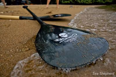 Remos da Sea Shepherd que serão utilizados durante a corrida. Foto: Sea Shepherd
