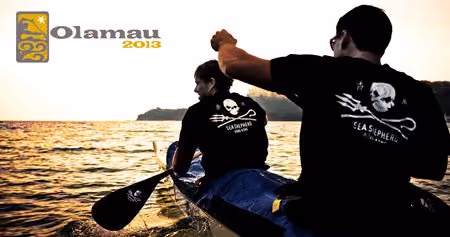 Sea Shepherd vai participar da Olamau 2013. Foto: Sea Shepherd
