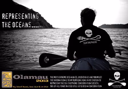 Anúncio da Sea Shepherd. Foto: Sea Shepherd