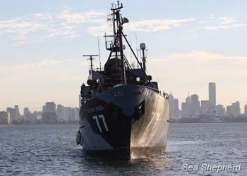 Steve Irwin com Melbourne no fundo. Foto: Sea Shepherd Austrália / Pauly Suters