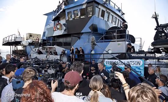 Grande comparecimento da mídia para a chegada da frota. Foto: Sea Shepherd Austrália / Traceii C