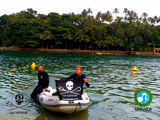 Praia das Pedras Miúdas com apoio de bote e mergulho da Equipe de voluntários ISSB - Embaixada Mar e Vida Eco Trip .