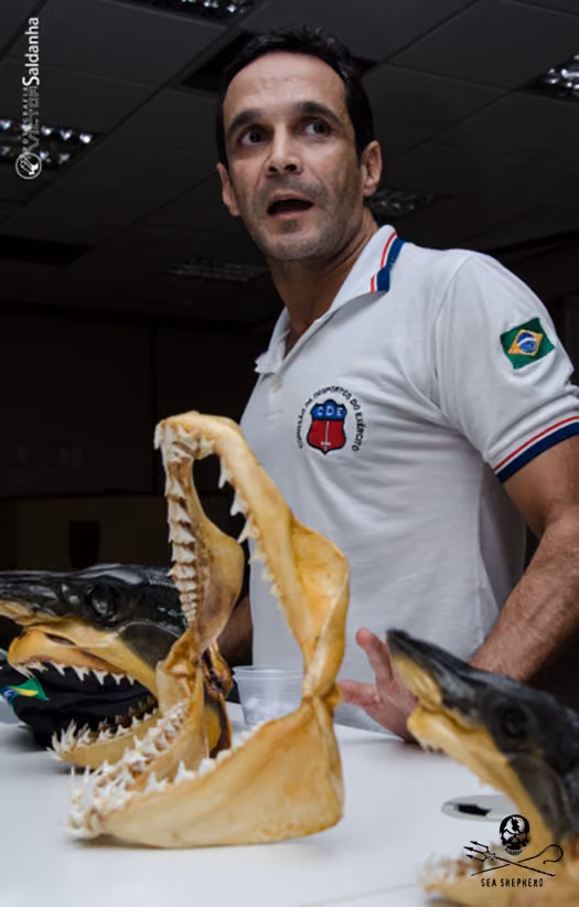 Cláudio Ferreira fala sobre sua experiência de mergulhos com tubarões e sobre a parceria do GMES com o Instituto antes do sorteio. Foto: Victor Saldanha.
