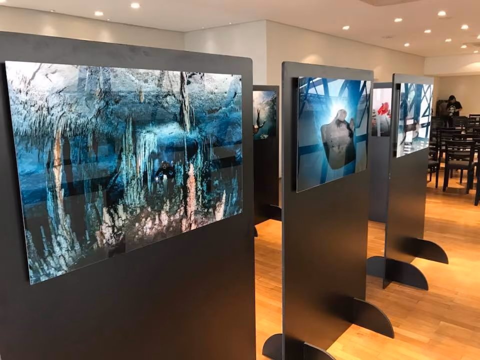 Exposição da arte de Kadu Pinheiro – Pro Underwater Photografer
