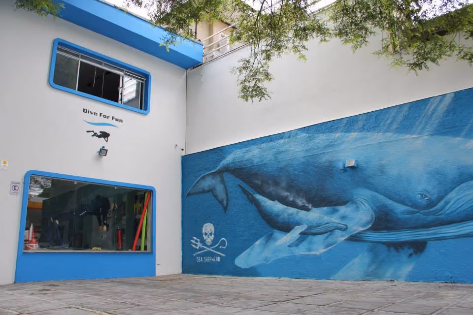 Escola de mergulho Dive for Fun, parceira e embaixada do Instituto Sea Shepherd Brasil em São Paulo. Foto: Dive for Fun