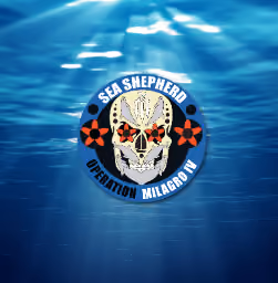 Logotipo da Campanha Milagros