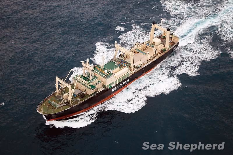 Nisshin Maru deixando o Santuário Antártico