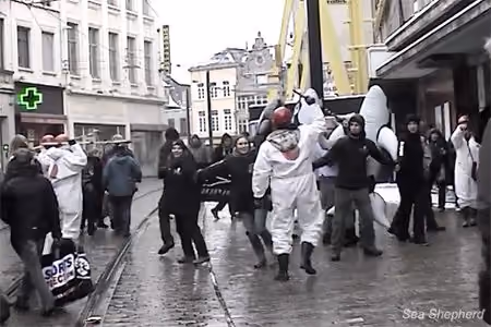 Transeuntes acompanham flash mob da Sea Shepherd Bélgica em oposição à matança de cetáceos. Foto: Sea Shepherd