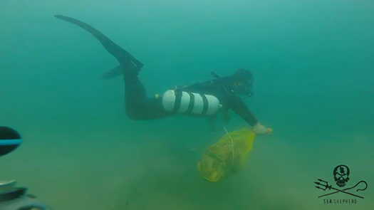 Mergulhador com lixo retirado do fundo marinho em Ilhabela/SP.
