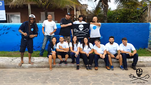 Juntos na atividade, Sea Shepherd e o Grupo de Resgate e Reabilitação de Animais Marinhos - Gremar em Itanhaém/SP.