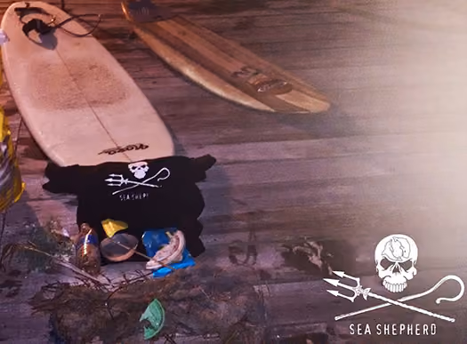 Em Cidreira-RS lixo recolhido do mar pelos surfistas.