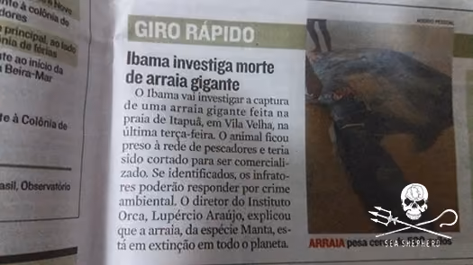Créditos: Núcleo ES