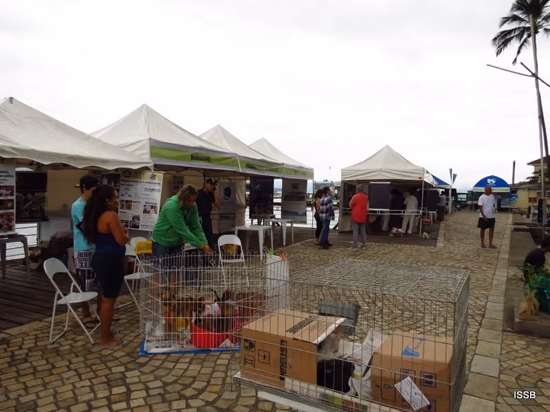 Animais para adoção organizado pela Prefeitura.