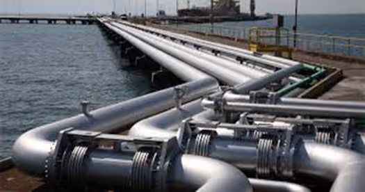 Terminal petrolífero da Petrobrás em São Sebastião – imagem da internet