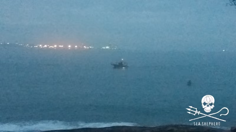 Pesca de arrasto ilegal acontecendo a menos de 30 metros da costa em Vila Velha capturados pela equipe do Espírito Santo do Sea Shepherd Brasil. No Espírito Santo a pesca de arrasto é proibida a menos de 500 metros da costa. Foto: Núcleo ES do Instituto Sea Shepherd Brasil