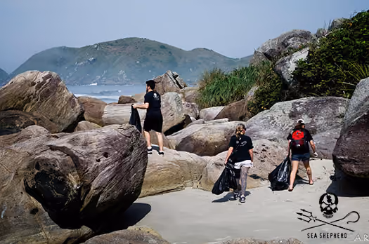 Fotógrafa: Aline Cardoso Rocha