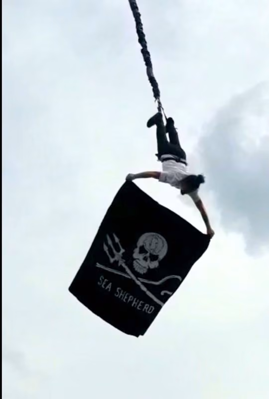 Sea Shepherd Brasil no bungee jumping
