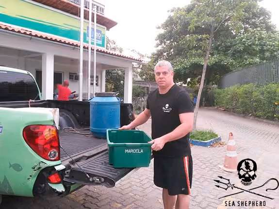 Entrega da tartatuga marinha na Patrulha Ambiental do Rio de Janeiro. Crédito: Gisele Pontes