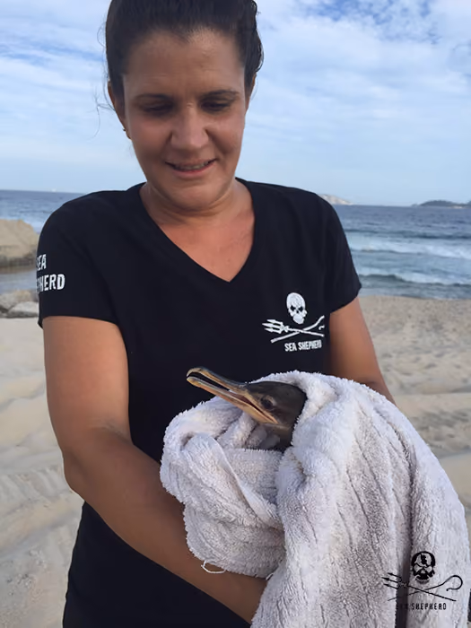 Flavia Trindade com o jovem biguá. Foto: Sea Shepherd Brasil