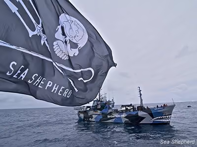 O SSS Bob Barker no Oceano Austral. Foto: Billy Danger / Sea Shepherd