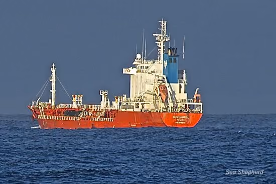 Navio da frota baleeira japonesa de reabastecimento, o Sun Laurel. Foto: Billy Danger