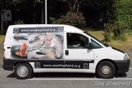 Van "Pare o Massacre" da Sea Shepherd. Foto: Deborah Bassett