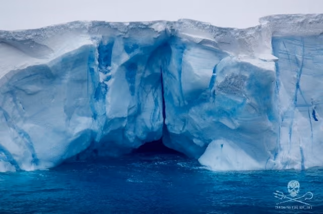 Em condições adversas na Antártica a equipe da Sea Shepherd vê a beleza dos icebergs e animais marinhos da região.