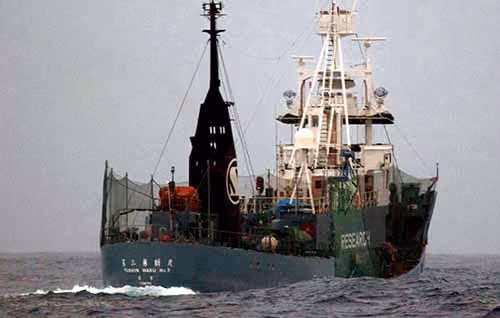 O navio arpoador japonês Yushin Maru 3 visto durante a Operação Vento Divino, em 2012