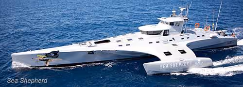 O interceptor rápido da Sea Shepherd Austrália, o SSS Brigitte Bardot