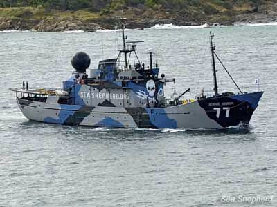 Steve Irwin parte na Austrália. Foto: Sea Shepherd